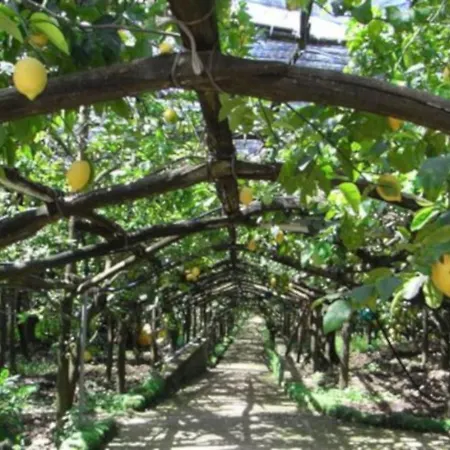 Angolo Di Paradiso *